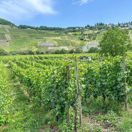 Weingut Hermeslex דירה