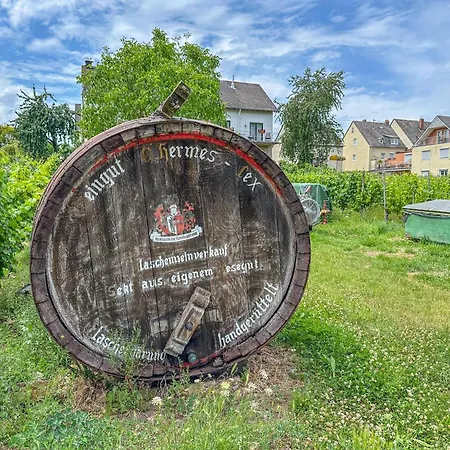 דירה Weingut Hermeslex *