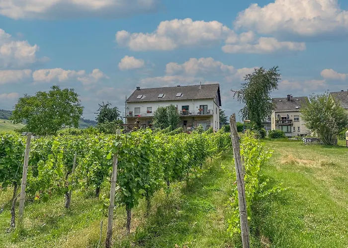 Weingut Hermeslex Apartment *