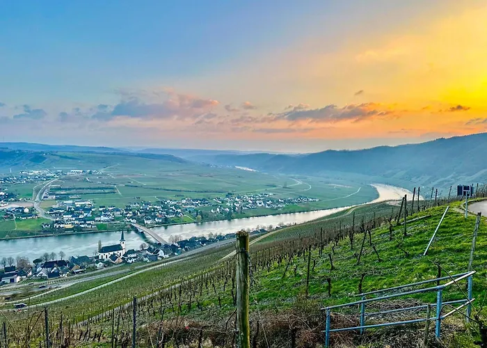Weingut Hermeslex Trittenheim