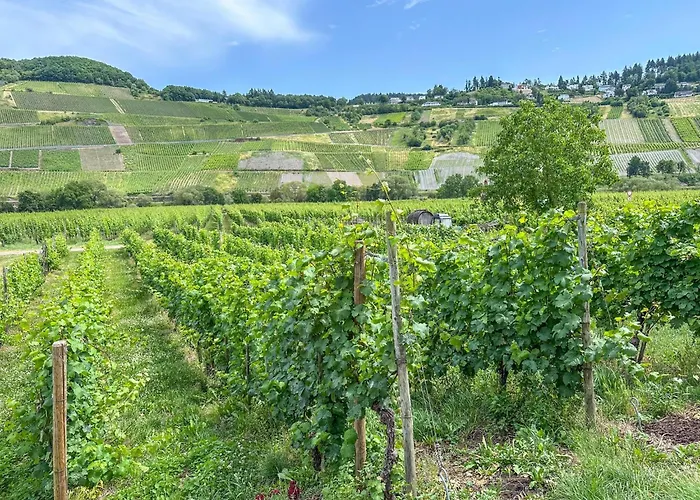 Weingut Hermeslex Apartment