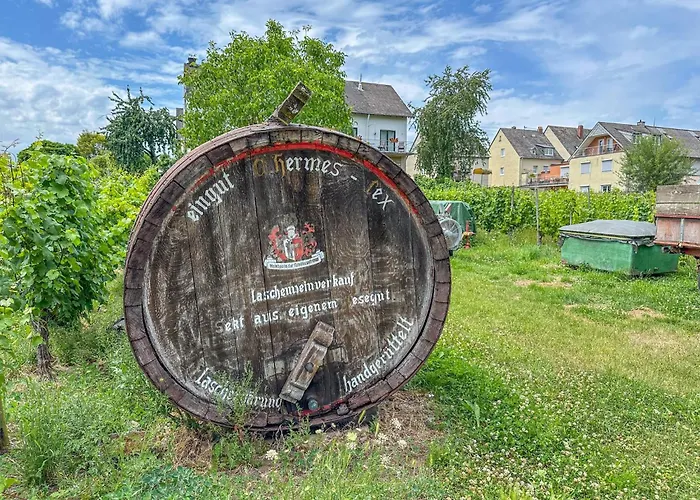 Apartment Weingut Hermeslex *